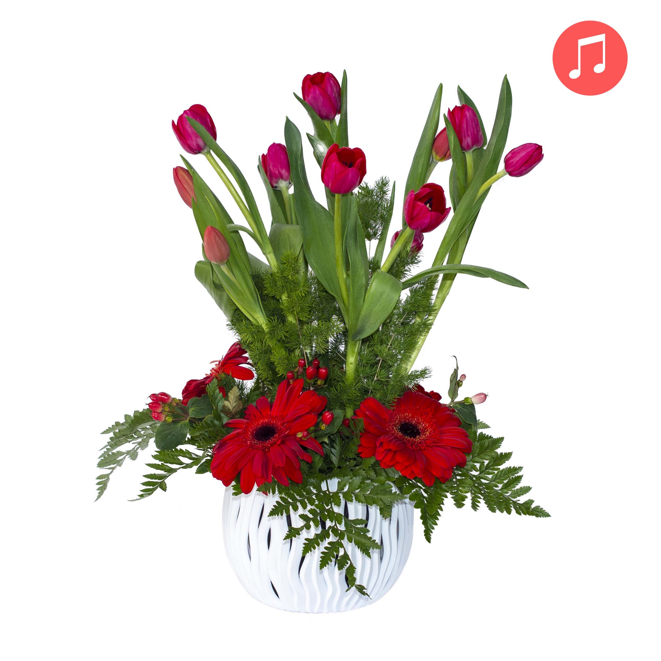 Macetera Melody Rose Con 10 Tulipanes y 05 Gerberas – Tienda online de  Rosas y tulipanes / Melody Rose – Trujillo
